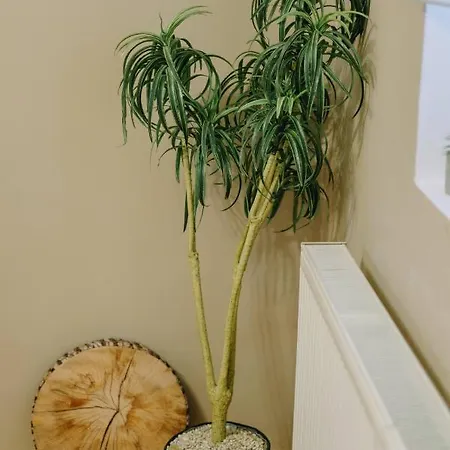 Kosuta 21 Center Duplex Apartment,